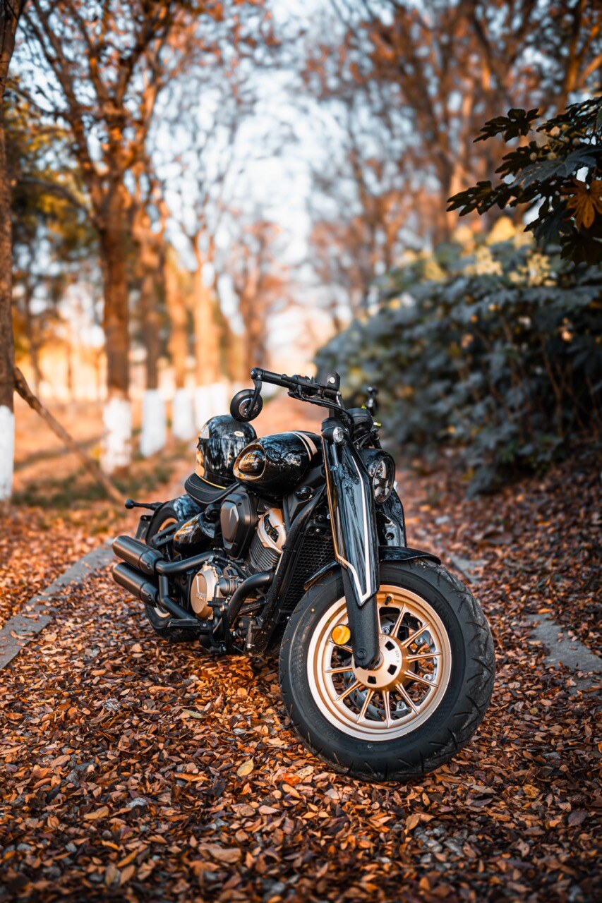 Benda Napoleon 500 Bobber, Phân Phối Chính Hãng, Giá Rẻ Tại Quảng Ngãi