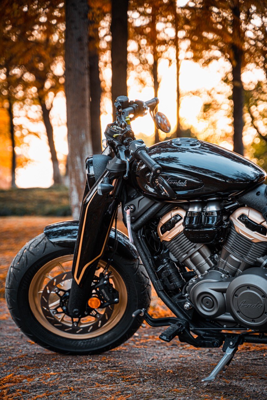 Benda Napoleon 500 Bobber, Phân Phối Chính Hãng, Giá Rẻ Tại Quảng Ngãi