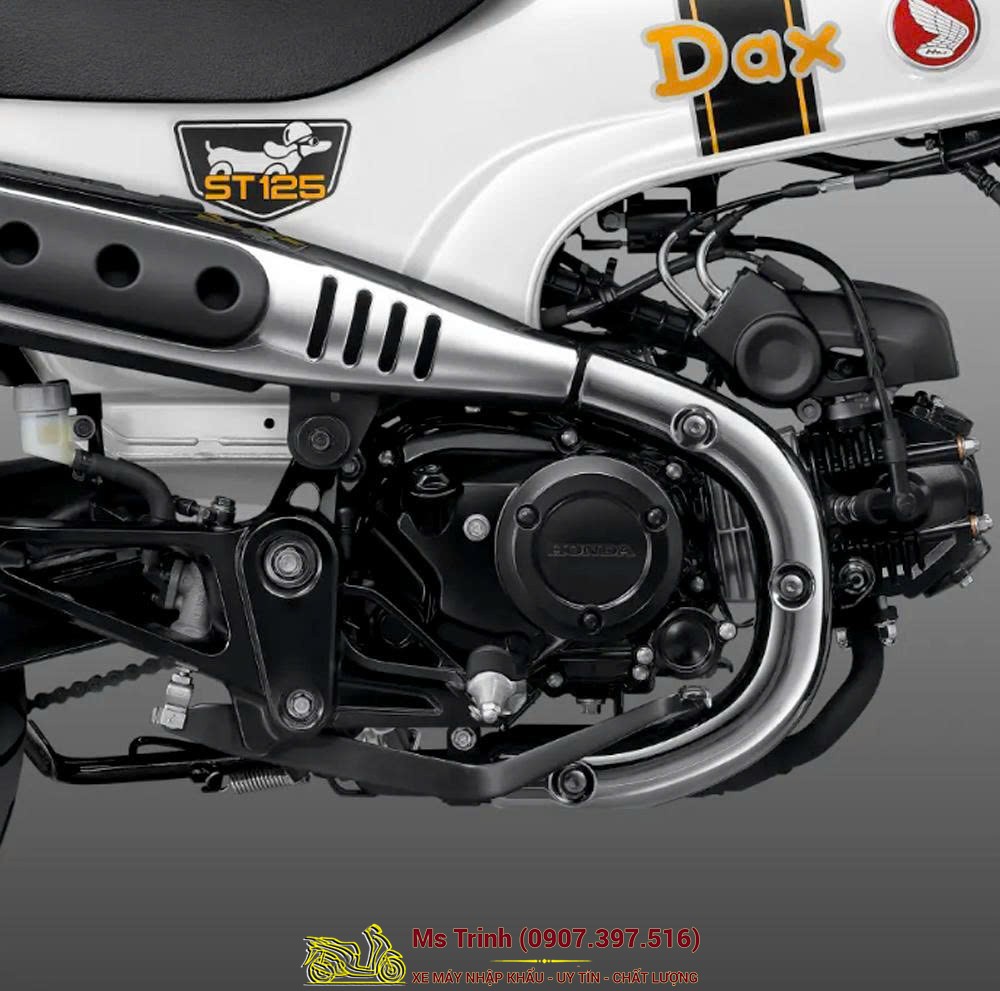 Honda Dax ST125 2026 tại Quảng Ngãi - Minibike huyền thoại khung T-Bone đầy cá tính